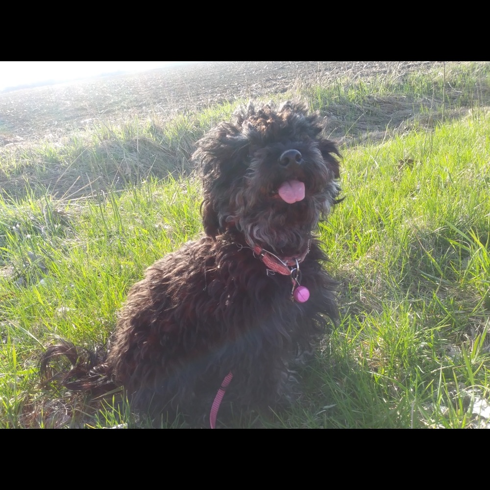 Meet your Posher, Megan